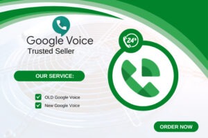 Read more about the article Buy Google Voice Account, Sideline Account, Index Account & Phoner Account – Bulk Verified VoIP Accounts for Sale